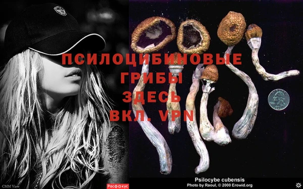 гидропоника Алексеевка