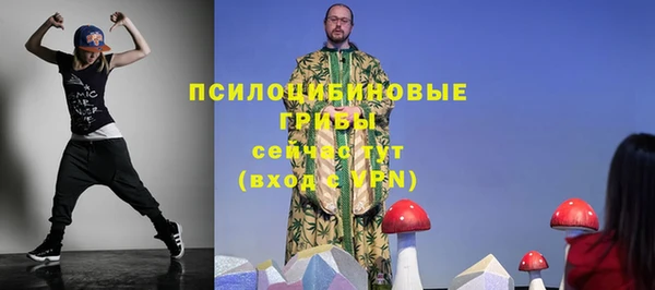 МДПВ Алзамай