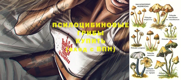 МДПВ Алзамай