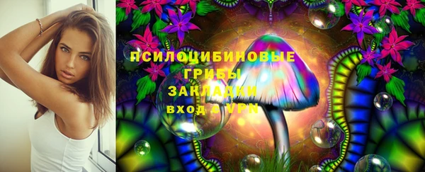 шишки Алексин