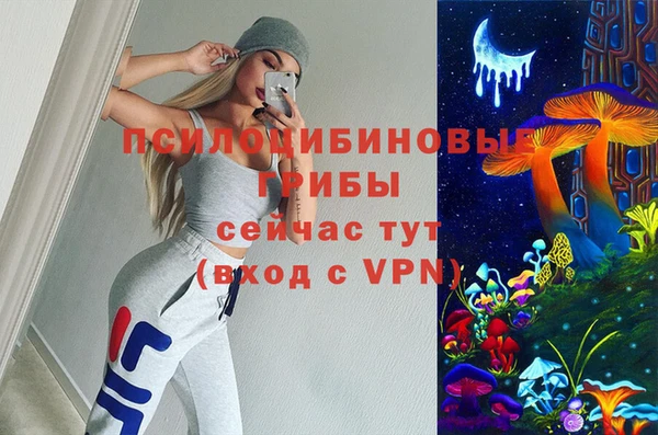шишки Алексин